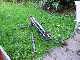 yes I should have cut the grass first
